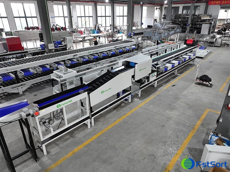 coconut grading machine .jpg coconut grading machine .jpg